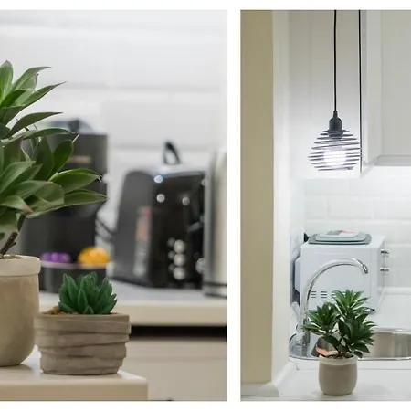 Comercio 37 - Aloha *