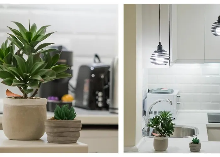 Comercio 37 - Aloha *